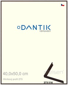 DANTIK rám na obraz 40x50 | ALU Dýha wenge tmavá (Sklo Čiré)