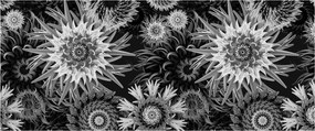 Obraz - Čiernobiele bodliaky (120x50 cm)