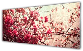 Obraz plexi Vetvy listy príroda 125x50 cm