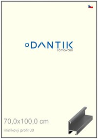 DANTIK rám na obraz 70x100 | ALU Dýha barevná šedá tmavá (Plexi Čiré)