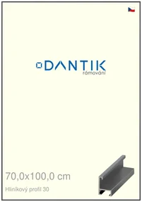 DANTIK rám na obraz 70x100 | ALU Dýha barevná šedá tmavá (Plexi Čiré)