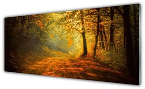 Obraz plexi Les cestička stromy príroda 125x50 cm