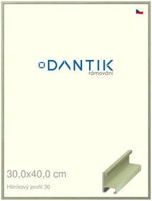 DANTIK rám na obraz 30x40 | ALU Dýha barevná zelená pastel (Plexi Čiré)