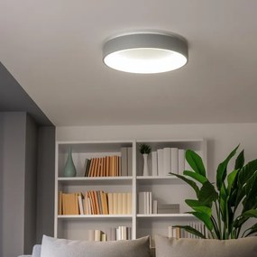 Brilagi - LED Stmievateľné stropné svietidlo FALCON LED/80W/230V 3000-6500K + DO