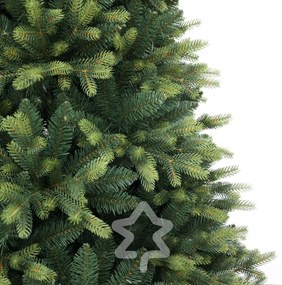 Smrek Kvitnúci extra hustý 240 cm