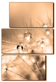 Obraz na plátne - Dandelion z kvapkami rosy - obdĺžnik 7262FD (120x80 cm)