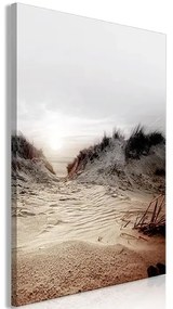Obraz - Way Through the Dunes (1 Part) Vertical Veľkosť: 80x120, Verzia: Premium Print