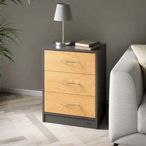 InternetovaZahrada Nočný stolík Eloise 54x39x28cm - drevo/šedý
