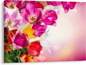 Obraz tulipánov (70x50 cm)