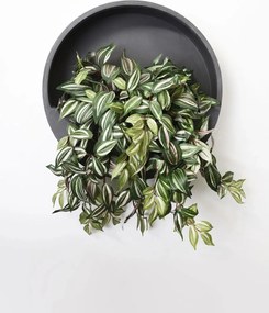 Kvetináč na stenu MURA, sklolaminát, Ø 50 cm, sivá