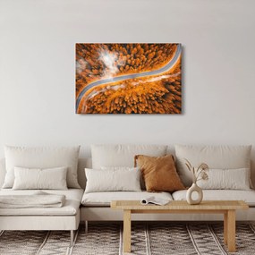 Obraz - Horská cesta (90x60 cm)