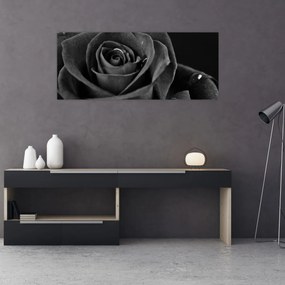 Obraz - Červená ruža (120x50 cm)