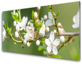 Obraz plexi Kvety vetvy listy sad 120x60 cm