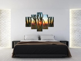 Obraz - Rastliny (150x105 cm)