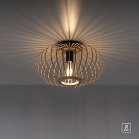 Leuchten Direkt 11410-79 - Prisadený luster RACOON 1xE27/40W/230V pr. 40 cm