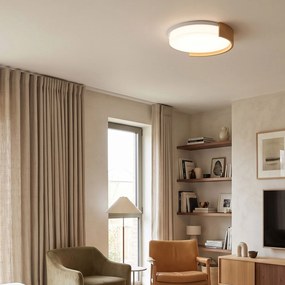 Toolight Toolight, APP1931-C, LED stropné svietidlo, Ø 41,5 cm, dekor dreva, OSW-63004