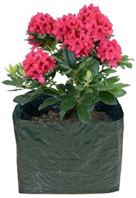 Vyvýšený záhon – Garden Pleasure