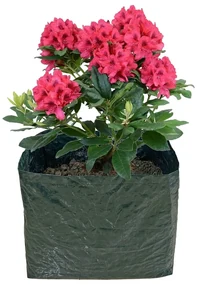 Vyvýšený záhon – Garden Pleasure