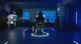 Ergonomické kreslo Ergohuman 2 Ultra BS Black