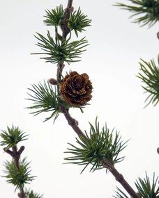 House Doctor Umelý stromček Cedar Stay Green 50 cm