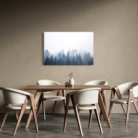Obraz - Zahmlený les (90x60 cm)