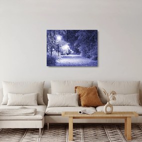 Sklenený obraz - Čarovná zimná noc (70x50 cm)
