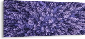 Obraz zasnežených stromov (120x50 cm)