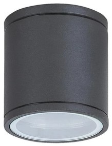 Rabalux 8150 - Vonkajšie stropné svietidlo AKRON 1xGU10/35W/230V IP54 RL8150