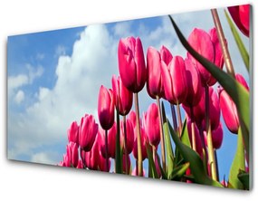 Nástenný panel  Tulipán 100x50 cm
