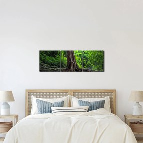 Obraz - Starý strom s koreňmi (s hodinami) (90x30 cm)
