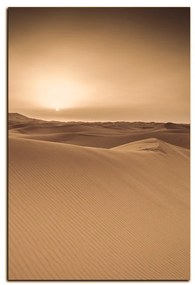 Obraz na plátne - Púšť Sahara  - obdĺžnik 7131FA (100x70 cm)