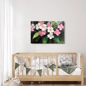 Obraz - Ružové a biele kvety (90x60 cm)