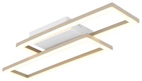 Globo 67381-16 - LED stropné svietidlo WILTON LED/16W/230V 3000/4000/6000K