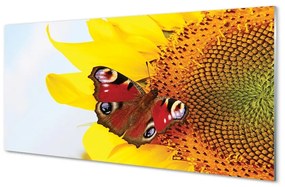 Sklenený obraz slnečnica motýľ 125x50 cm