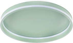 Toolight Toolight, LED stropné svietidlo 40cm, 4000 lm, 22W, 4000K, APP1463, zelená, OSW-08641