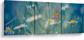 Obraz - Motýľ na sedmokráske (s hodinami) (90x30 cm)