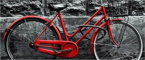 Obraz - Historický bicykel (120x50 cm)