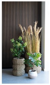 Umelá rastlina (výška 60 cm) Fig – House Nordic