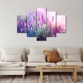 Obraz - Levanduľa vo trblietania slnka (150x105 cm)