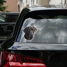 PIPPER. Nálepka Čierny Labrador Veľkosť: 15 cm