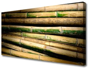 Obraz na plátne Bambus rastlina príroda 140x70 cm