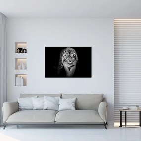 Obraz - Tiger s modrými očami (90x60 cm)