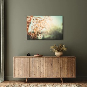 Obraz - Lúčne rastliny (90x60 cm)