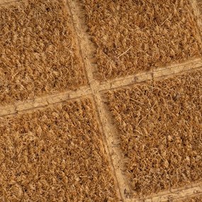 Rohožka z kokosového vlákna 25x75 cm Trazos – Casa Selección