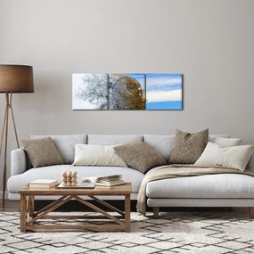 Obraz - Zmena ročného obdobia (s hodinami) (90x30 cm)