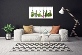 Obraz Canvas Sušené byliny listy kvety 120x60 cm