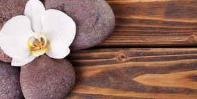 Obraz wellness kamene a orchidea na drevenom pozadí