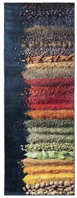 Kuchynský koberec v sýtych farbách korenia Šírka: 80 cm | Dĺžka: 300 cm