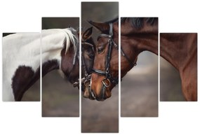 Obraz - Zamilované kone (150x105 cm)