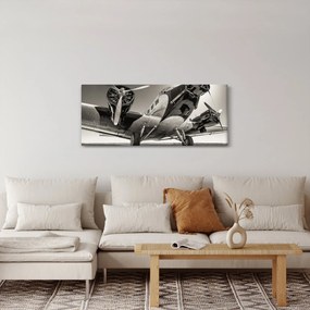 Obraz - Historické lietadlo (120x50 cm)